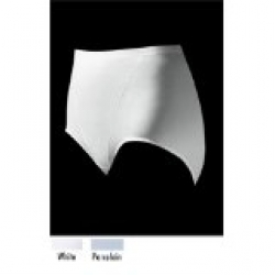 Hanes Cotton Light Control Panty Brief - 2 pack